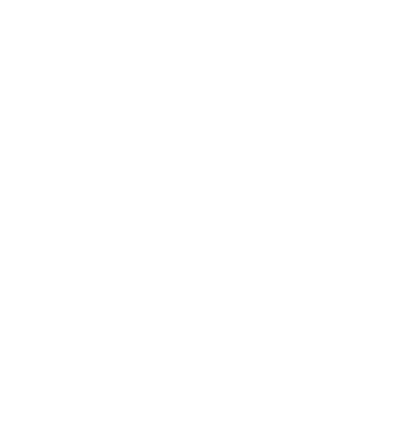 NEW ENERGY FAIR OSONG